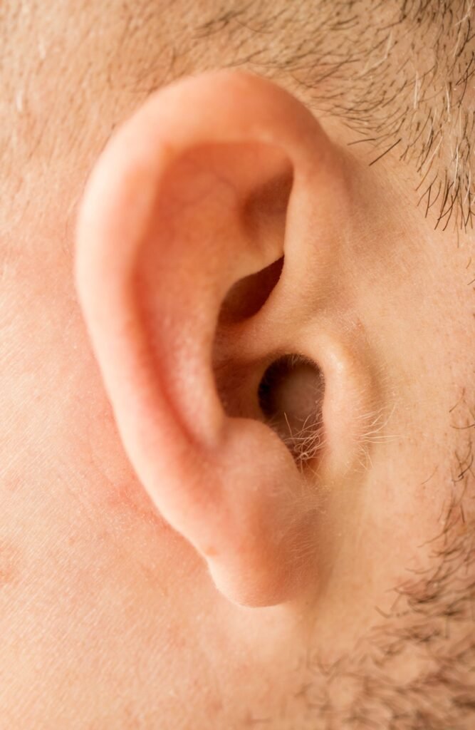 Close-up of a person's ear